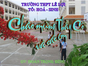 Bài giảng Sinh học Lớp 11 - Bài 18: Tuần hoàn máu - Đoàn Trọng Đỉnh