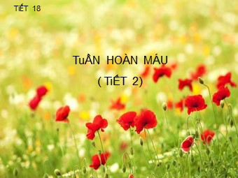 Bài giảng Sinh học Lớp 11 - Bài 19, Phần 2: Tuần hoàn máu (Bản chuẩn kiến thức)