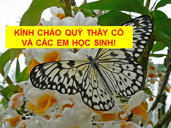 Bài giảng Sinh học Lớp 11 - Bài 19, Phần 2: Tuần hoàn máu (Bản đẹp)