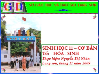 Bài giảng Sinh học Lớp 11 - Bài 19, Phần 2: Tuần hoàn máu - Nguyễn Thị Nhàn