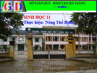 Bài giảng Sinh học Lớp 11 - Bài 19, Phần 2: Tuần hoàn máu - Nông Thế Huân