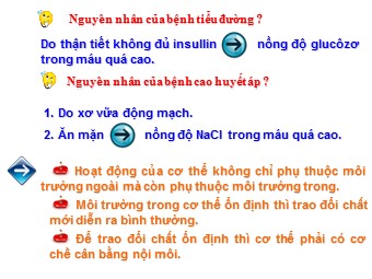 Bài giảng Sinh học Lớp 11 - Bài 20: Cân bằng nội môi (Bản mới)