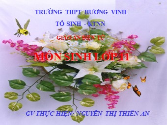 Bài giảng Sinh học Lớp 11 - Bài 20: Cân bằng nội môi - Nguyễn Thị Thiên An