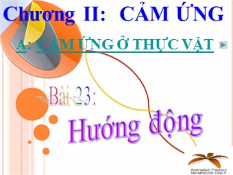 Bài giảng Sinh học Lớp 11 - Bài 23: Hướng động (Bản chuẩn kĩ năng)