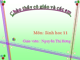 Bài giảng Sinh học Lớp 11 - Bài 23: Hướng động - Nguyễn Thị Hương