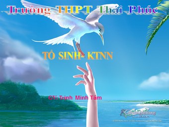 Bài giảng Sinh học Lớp 11 - Bài 23: Hướng động - Trịnh Minh Tâm