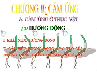 Bài giảng Sinh học Lớp 11 - Bài 23: Hướng động