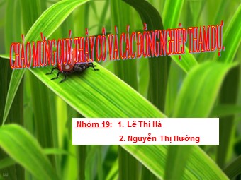 Bài giảng Sinh học Lớp 11 - Bài 24: Ứng động - Lê Thị Hà