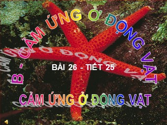 Bài giảng Sinh học Lớp 11 - Bài 26: Cảm ứng ở động vật (Bản chuẩn kiến thức)