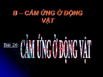 Bài giảng Sinh học Lớp 11 - Bài 26: Cảm ứng ở động vật (Bản mới)