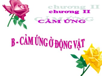 Bài giảng Sinh học Lớp 11 - Bài 27, Phần 2: Cảm ứng ở động vật (Bản hay)