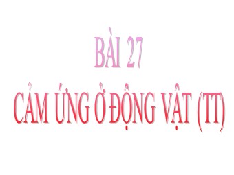 Bài giảng Sinh học Lớp 11 - Bài 27, Phần 2: Cảm ứng ở động vật (Bản mới)