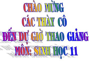 Bài giảng Sinh học Lớp 11 - Bài 29: Điện thế hoạt động và sự lan truyền xung thần kinh - Trường THPT Đồng Phú