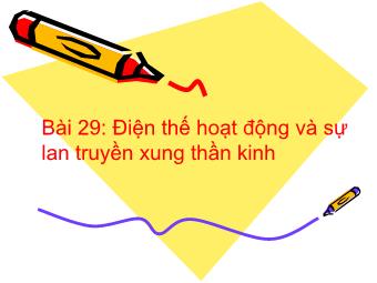 Bài giảng Sinh học Lớp 11 - Bài 29: Điện thế hoạt động và sự lan truyền xung thần kinh (Chuẩn kiến thức)