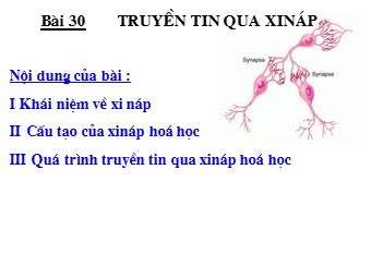 Bài giảng Sinh học Lớp 11 - Bài 30: Sự lan truyền điện thế hoạt động qua xinap (Bản mới)