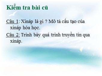 Bài giảng Sinh học Lớp 11 - Bài 31: Tập tính ở động vật (Bản đẹp)