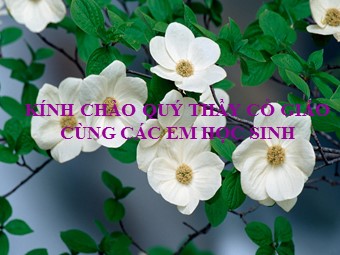 Bài giảng Sinh học Lớp 11 - Bài 31: Tập tính ở động vật (Bản hay)