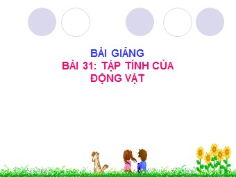 Bài giảng Sinh học Lớp 11 - Bài 31: Tập tính ở động vật (Bản mới)