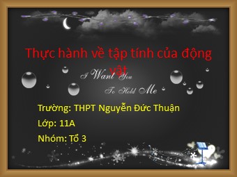 Bài giảng Sinh học Lớp 11 - Bài 33: Thực hành xem phim về một số tập tính ở động vật - Trường THPT Nguyễn Đức Thuận