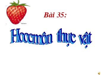 Bài giảng Sinh học Lớp 11 - Bài 35: Hoocmôn thực vật (Chuẩn kĩ năng)