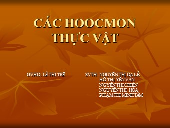 Bài giảng Sinh học Lớp 11 - Bài 35: Hoocmôn thực vật - Nguyễn Thị Dạ Lê