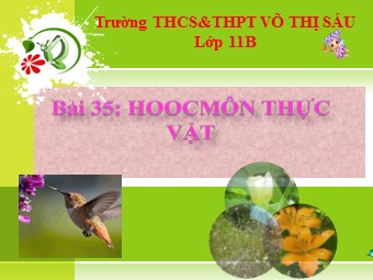 Bài giảng Sinh học Lớp 11 - Bài 35: Hoocmôn thực vật - Trường THPT Võ Thị Sáu
