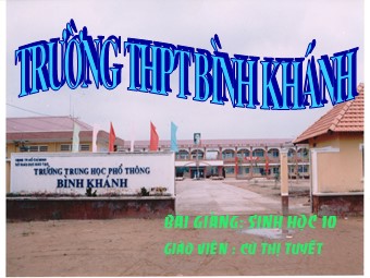 Bài giảng Sinh học Lớp 11 - Bài 42: Sinh sản hữu tính ở thực vật - Cù Thị Tuyết