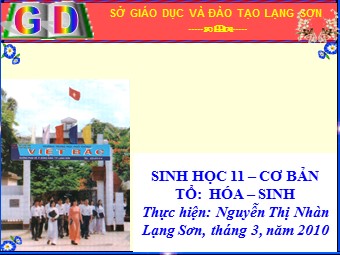 Bài giảng Sinh học Lớp 11 - Bài 42: Sinh sản hữu tính ở thực vật - Trường THPT Việt Bắc