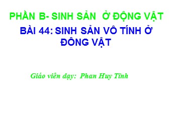 Bài giảng Sinh học Lớp 11 - Bài 44: Sinh sản vô tính ở động vật - Phan Huy Tĩnh