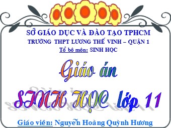 Bài giảng Sinh học Lớp 11 - Bài 9: Quang hợp ở các nhóm thực vật C3, C4 và cam - Nguyễn Hoàng Quỳnh Hương