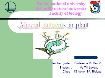 Đề tài Mineral nutrients in plant