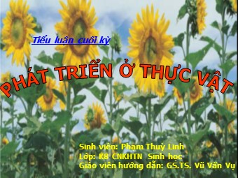 Tiểu luận Phát triển ở thực vật - Phạm Thuỳ Linh