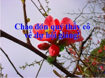 Bài giảng Đại số Lớp 6 - Chương 2 - Bài 2: Tập hợp các số nguyên (Chuẩn kĩ năng)