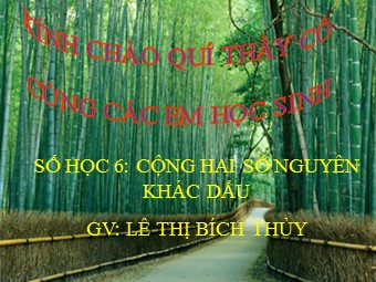 Bài giảng Đại số Lớp 6 - Chương 2 - Bài 5: Cộng hai số nguyên khác dấu - Lê Thị Bích Thủy