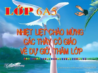 Bài giảng Đại số Lớp 6 - Chương 2 - Bài 7: Phép trừ hai số nguyên (Chuẩn kĩ năng)