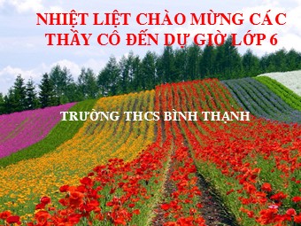 Bài giảng Đại số Lớp 6 - Chương 2 - Bài: Tập hợp Z các số nguyên - Trường THCS Bình Thạnh