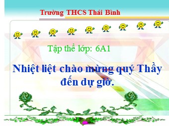 Bài giảng Đại số Lớp 6 - Chương 3 - Bài 10: Phép nhân phân số - Trường THCS Thái Bình