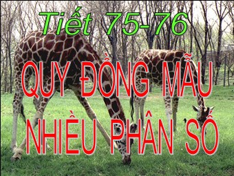 Bài giảng Đại số Lớp 6 - Chương 3 - Bài 5: Quy đồng mẫu nhiều phân số (Bản mới)