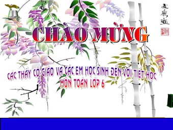 Bài giảng Đại số Lớp 6 - Chương 3 - Bài 5: Quy đồng mẫu nhiều phân số (Bản chuẩn kiến thức)