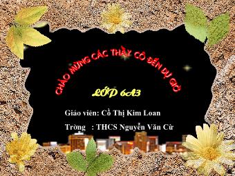 Bài giảng Đại số Lớp 6 - Chương 3 - Bài 6: So sánh phân số - Cồ Thị Kim Loan