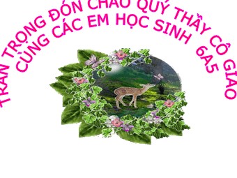 Bài giảng Đại số Lớp 6 - Tiết 66: Ôn tập chương 2 (Bản mới)