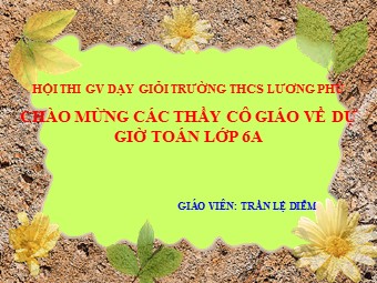 Bài giảng Đại số Lớp 6 - Tiết 88: Luyện tập - Trần Lệ Diễm