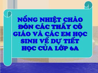 Bài giảng môn Đại số Lớp 6 - Chương 1 - Bài 14: Số nguyên tố. Hợp số, bảng số nguyên tố