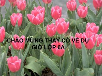 Bài giảng môn Đại số Lớp 6 - Chương 1 - Bài 14: Số nguyên tố. Hợp số, bảng số nguyên tố (Bản hay)