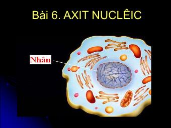 Bài giảng môn Sinh học Lớp 10 - Bài 6: Axit nuclêic (Bản chuẩn kĩ năng)