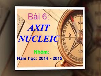Bài giảng môn Sinh học Lớp 10 - Bài 6: Axit nuclêic (Chuẩn kiến thức)