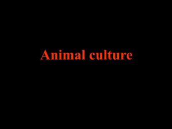 Bài giảng Nhập môn công nghệ sinh học - Animal culture