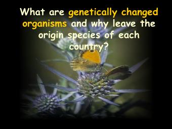 Bài giảng Nhập môn công nghệ sinh học - Genetically changed organisms