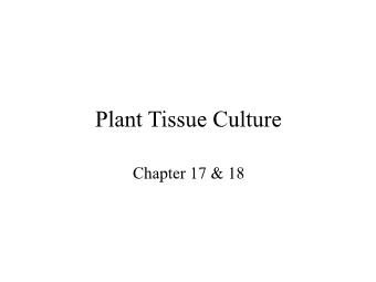 Bài giảng Plant tissue culture - Chapter 17+18