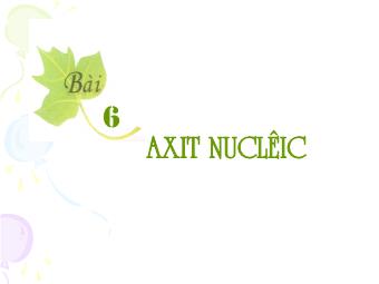 Bài giảng Sinh học Khối 10 - Bài 6: Axit nuclêic (Bản đẹp)
